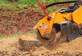 Reliable Waxhaw, NC Tree Care Solutions
