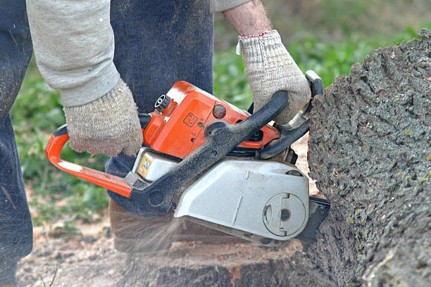 Best Tree Mulching  in Waxhaw, NC