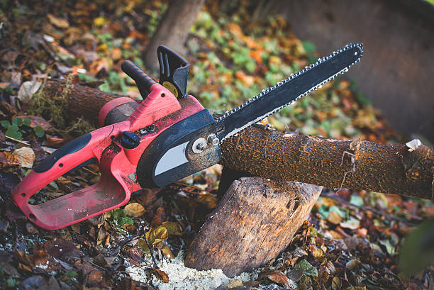 Best Firewood Processing and Delivery  in Waxhaw, NC